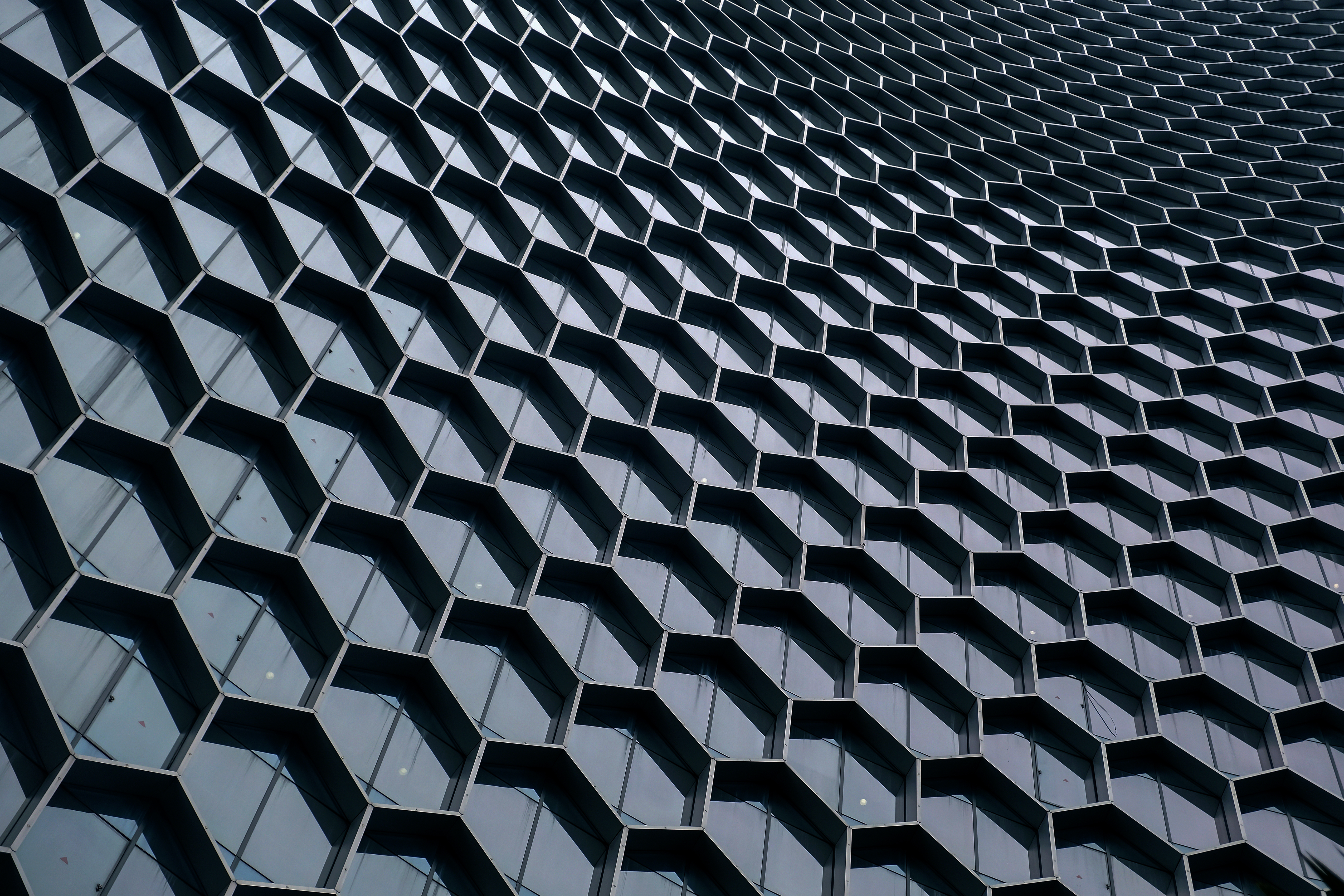 Abstract institutional pathway network image for Active Bureaucratic Management brief